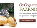 Fazenda Velha